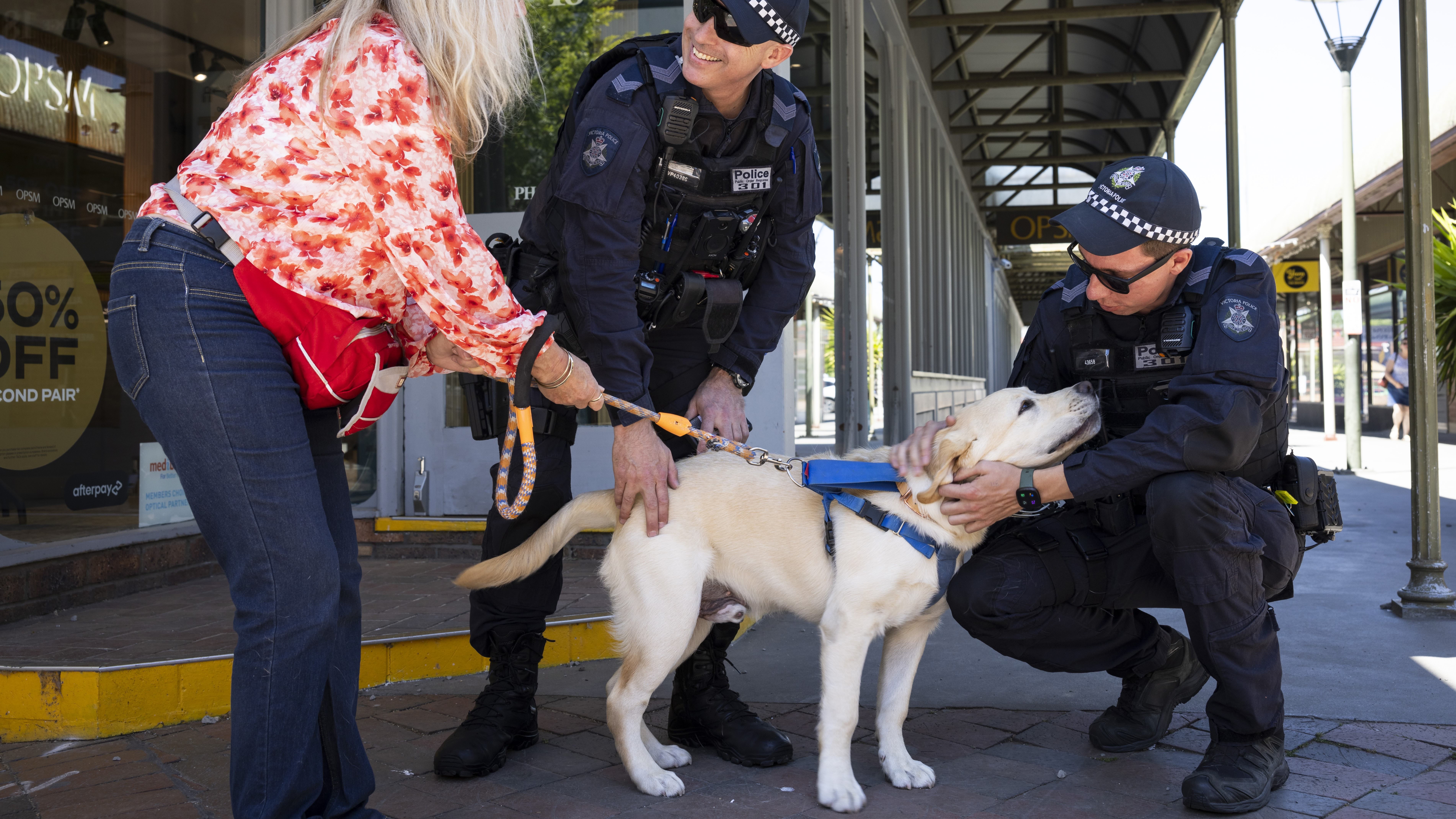 Two uniformed police officers chatting in the street with an elderly dog walker with silver shoulder-length hair holding golden retriever type dog on a lead. One police officer is smiling and chatting with the dog-walker, the other police officer is crouched down and patting the dog.